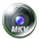 Brorsoft MKV Converter1.4.5.0