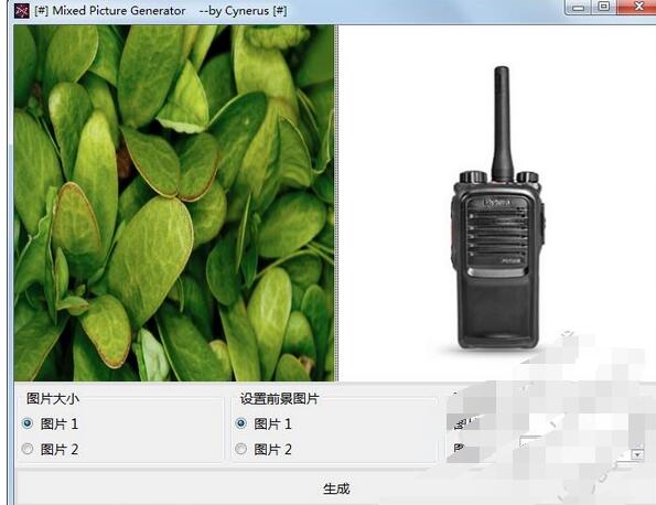 Mixed Picture Generator
